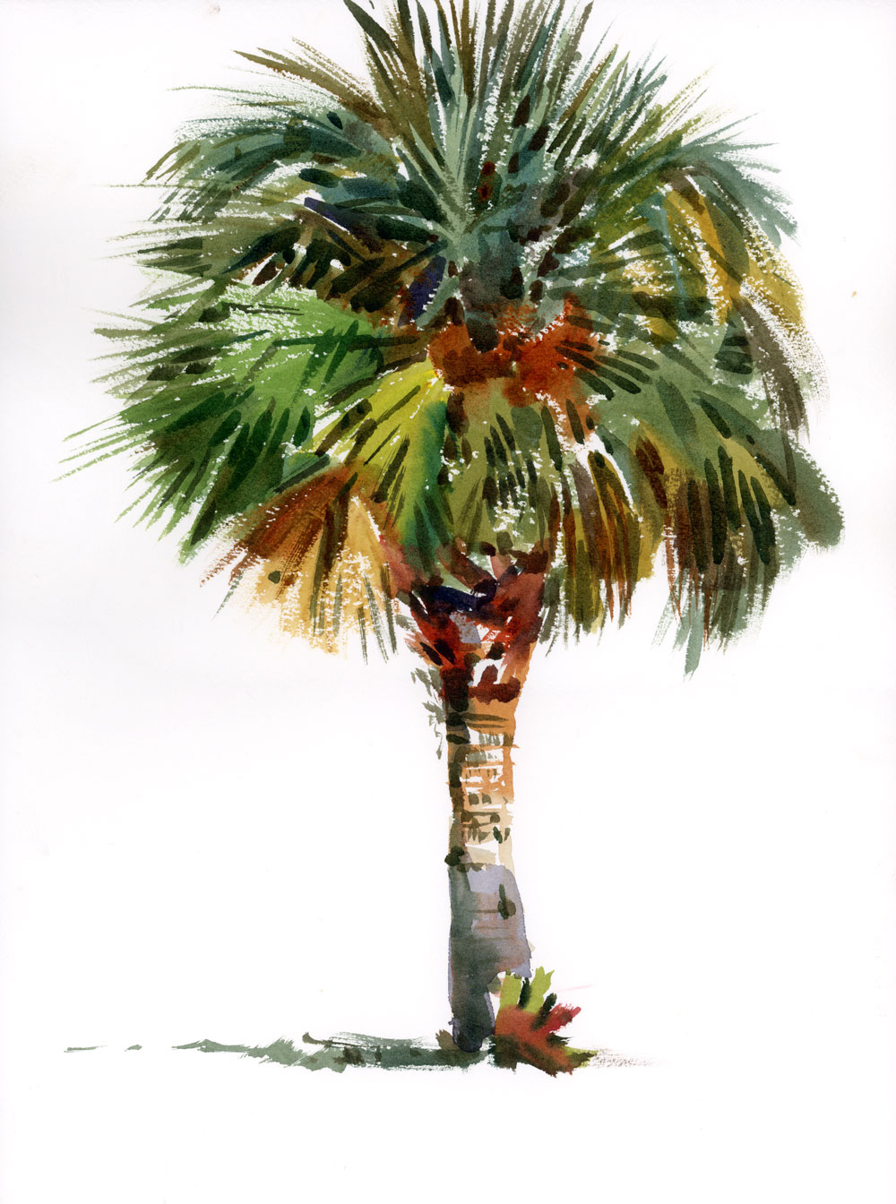 Just one palm | Shari Blaukopf's Sketchbook